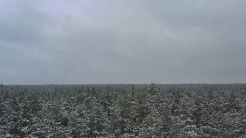 Drone flight over snowy forest 動画素材 169084811