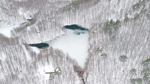 Drone Flight Over Snowy Forest and Lake in Yedigöller National Park Stock Footage 340639266
