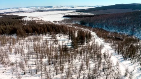 Drone Flight Over Snowy Forest and Winding Winter Track Vídeo Stock 344955995