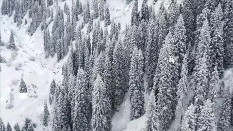 Drone Flight Over Snowy Mountains with Falling Snow 스톡 동영상 330278622