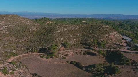 Drone Flight Over Sparse Mountain Woods and Dirt Trail Stock Footage 263028734