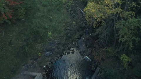 Drone Flight Over Spillway And Treetops With Fall Colours Stock-Footage 255045409