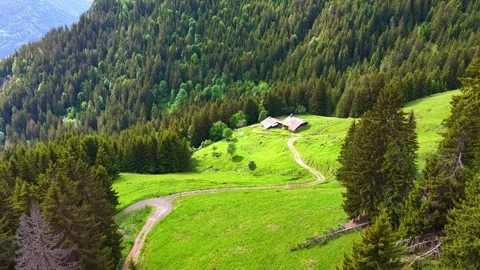 Drone Flight Over Spruce Forest and Alpine Chalets Stock Footage 336668840