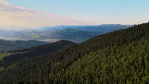 Drone flight over spruce forests in the mountains and a village  in  Carpathians Stock Footage 169755205