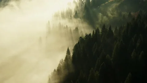 Drone flight over steep mountain valley with morning mist and tall green trees Stock Footage 131872640
