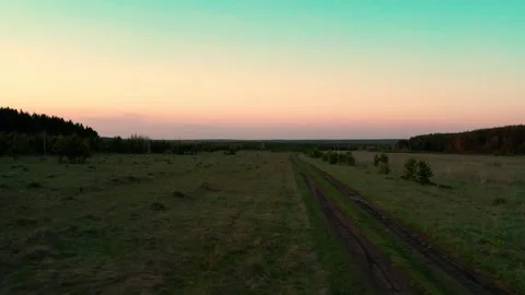 Drone Flight Over Summer Field and Forest at Sunset Видео 334889368