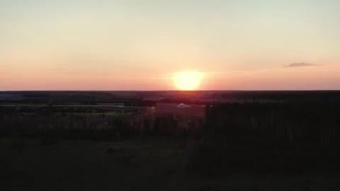 Drone Flight Over Summer Field and Forest at Sunset Видео 334889504