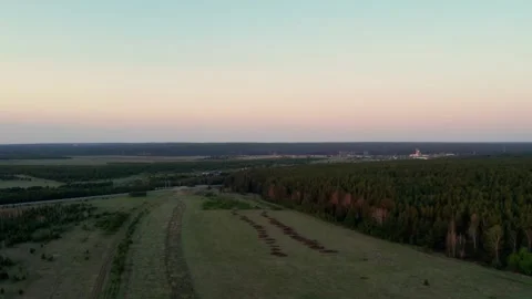 Drone Flight Over Summer Field and Forest at Sunset Видео 334889514