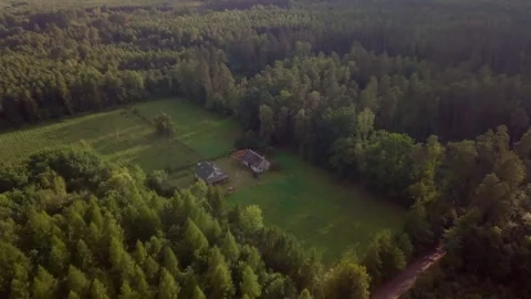 Drone flight over summer or autumn forest. Stock Footage 250863153