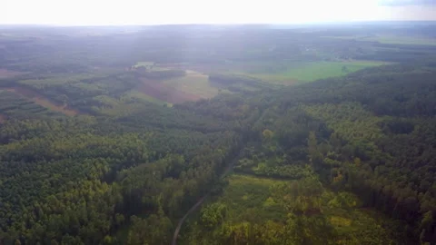 Drone flight over summer or autumn forest. Stock Footage 250863381