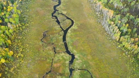 Drone flight over a swampy stream and beaver pond with fall colors. Stock Footage 116525403