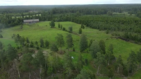 Drone flight over a Swedish forest landscape with solitary houses. Stock Footage 248089337