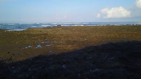 Drone flight over tide pools and ocean with SUP surfers and sailboat on horizon Stock Footage 90914573