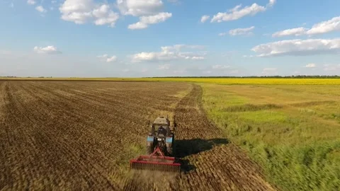 Drone Flight Over Tractor Plowing by Sunflower Field on Sunny Day Stock Footage 316537229