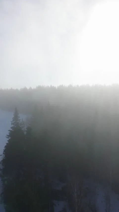 Drone flight over trees, dark mood and heavy fog but fliing towards the sun Stock-Footage 319826826