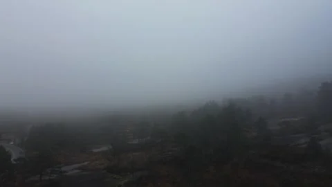 Drone flight over trees, dark mood and heavy fog. Stock-Footage 319826948