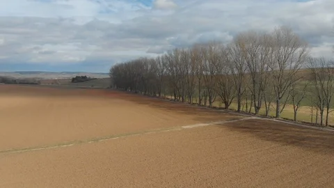 Drone flight over trees Stock Footage 101127067