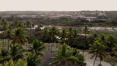 Drone flight over trees, marsh and resort. Imbassaí Beach. Bahia, Brazil. Vídeo Stock 117043659