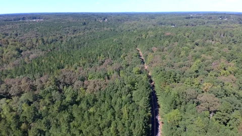 Drone Flight Over Trees Near Road Stock Footage 140476697