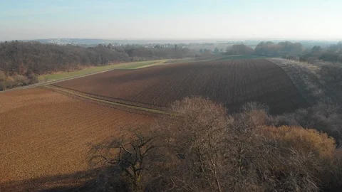 Drone flight over trees to wide field Stock Footage 103187350