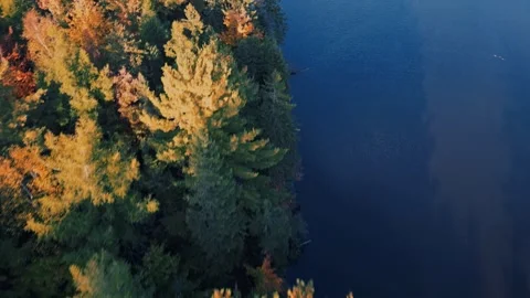 Drone Flight Over Treetops Bordering a Beautiful Blue Lake Stock-Footage 255045438