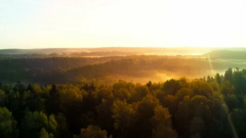 Drone flight over the treetops in the early morning. Sunbeams through the fog.  Stock Footage 161869257