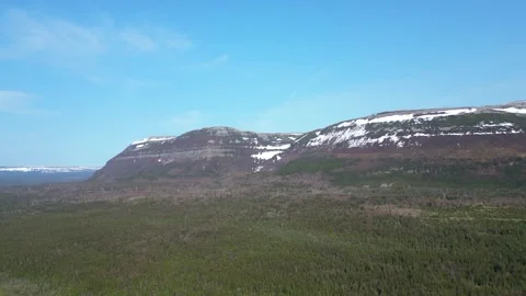 Drone Flight Over Treetops in Newfoundland Forest Stock Footage 253267811