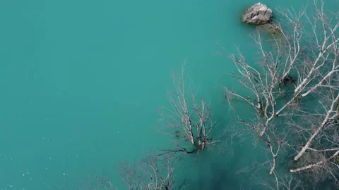 Drone flight over turquoise mountain lake with dead trees growing from water Stock Footage 331526663