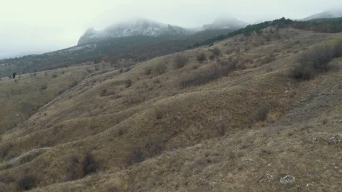 Drone flight up over the valley with pine on the slopes Stock Footage 98499155