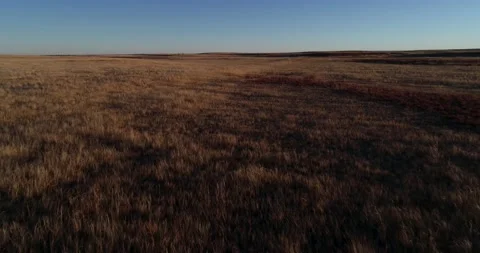 A drone flight over the vast grasslands of North America Stock Footage 164304573