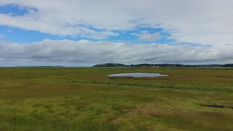 Drone Flight Over Vast Green Salt Marsh in Ipswich, Massachusetts Video stock 345563515