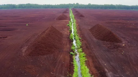 Drone flight over a vast peat field and rows of peat piles. Stock Footage 299800531