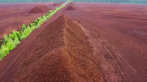 Drone flight over a vast peat field and rows of peat piles. Nature protection. Stock Footage 299801117