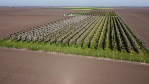 Drone flight over a vast plain Stock-Footage 158388324