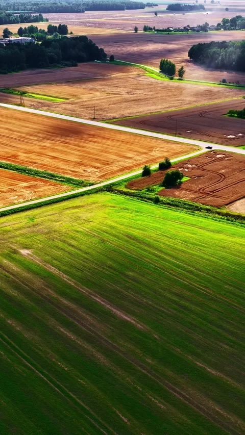 Drone flight over a vibrant patchwork of agricultural fields. Stock-Footage 336726366