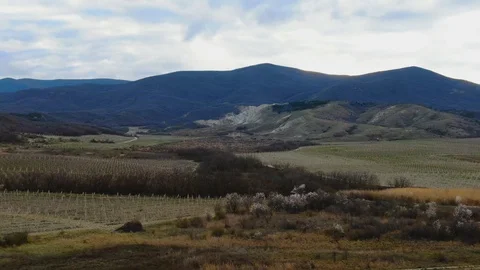 Drone flight over a vineyard in the mountains in early spring Stock-Footage 106441260