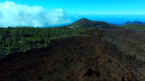 Drone flight over the volcanic soil of Teide Stock Footage 138818027