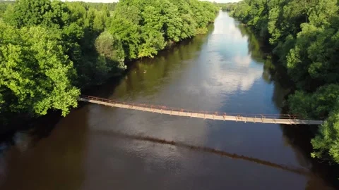 Drone flight over water and trees from a height Stock-Footage 197471398