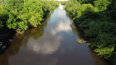 Drone flight over water and trees from a height Stock-Footage 197471763