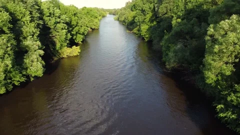 Drone flight over water and trees from a height Stock Footage 197472435