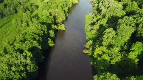 Drone flight over water and trees from a height Stock Footage 197472554