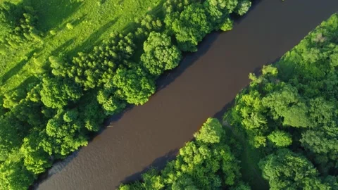 Drone flight over water and trees from a height Stock Footage 197472708