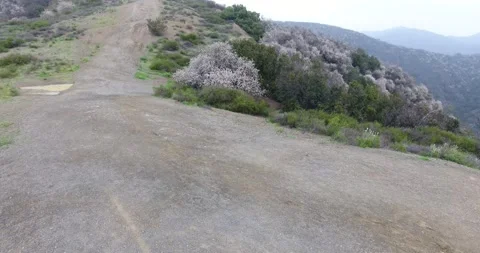 Drone Flight over Westside Hiking Trail in Brentwood 스톡 동영상 141705713