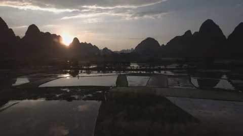Drone flight over wet rice paddy fields at sunset in China Asia Stock Footage