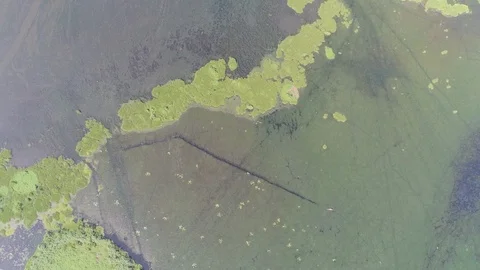 Drone Flight Over a Wetland in Central America Stock Footage 92000649