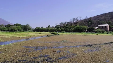 Drone Flight Over a Wetland in Central America Stock Footage 92004676