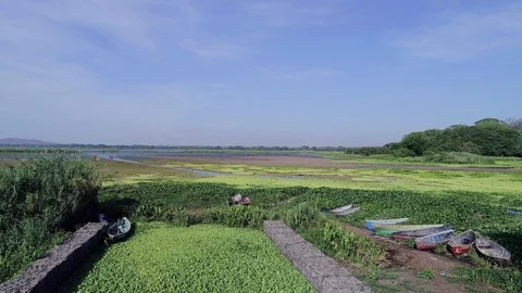 Drone Flight Over a Wetland in Central America Stock Footage 92005403