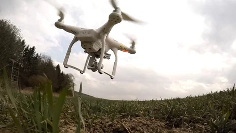 Drone flight over wheat field. Video stock 73730817