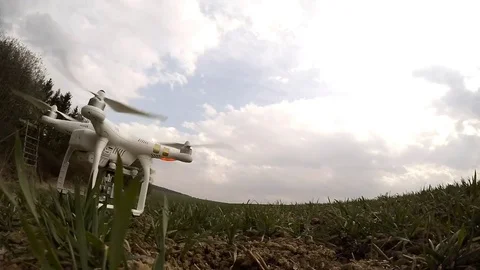 Drone flight over wheat field. Stock Footage 73730818