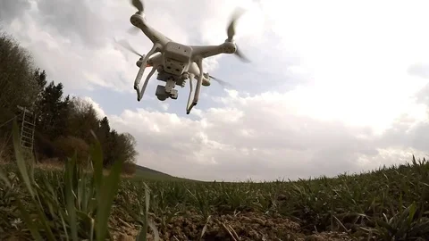 Drone flight over wheat field. Vídeo Stock 73731231
